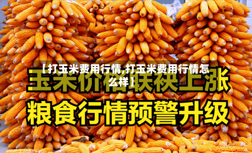 【打玉米费用行情,打玉米费用行情怎么样】
