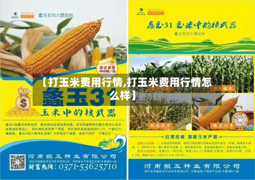 【打玉米费用行情,打玉米费用行情怎么样】-第3张图片