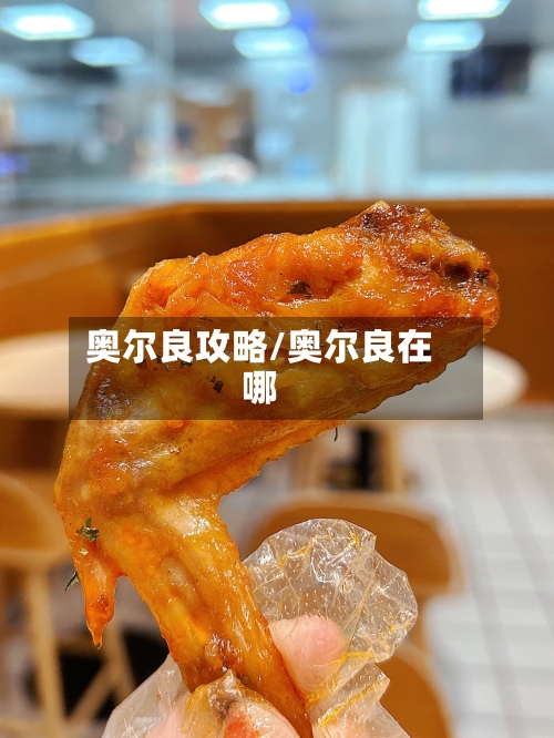 奥尔良攻略/奥尔良在哪-第3张图片