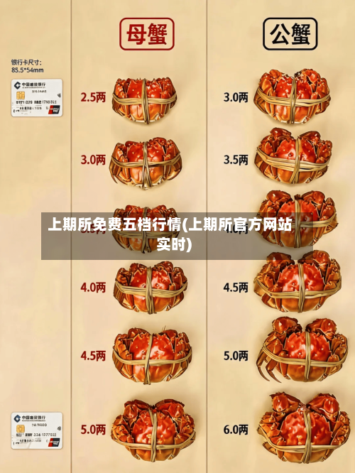 上期所免费五档行情(上期所官方网站实时)