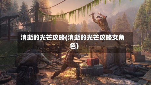 消逝的光芒攻略(消逝的光芒攻略女角色)-第2张图片