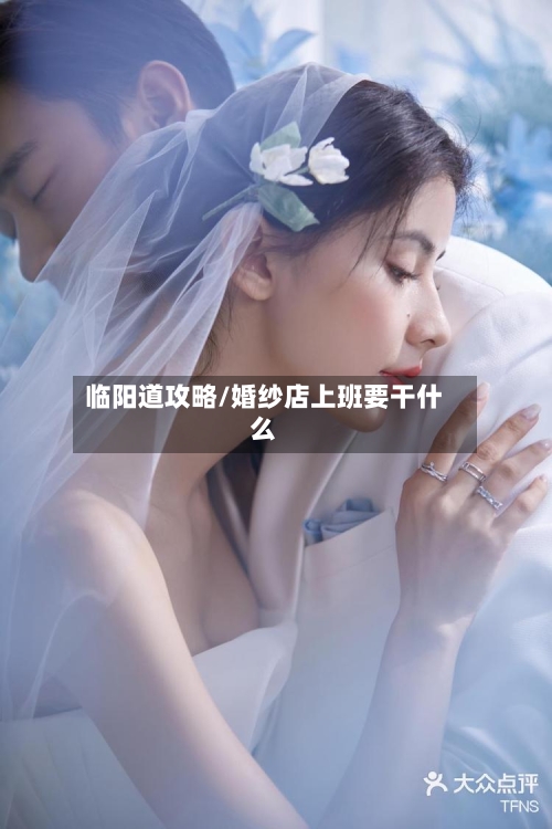 临阳道攻略/婚纱店上班要干什么