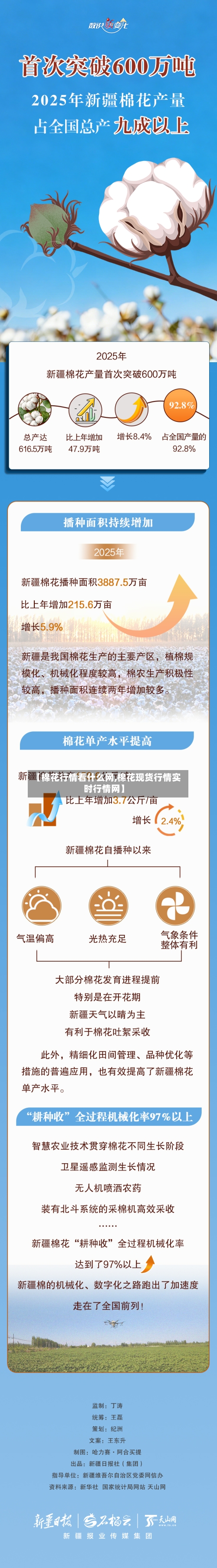 【棉花行情看什么网,棉花现货行情实时行情网】