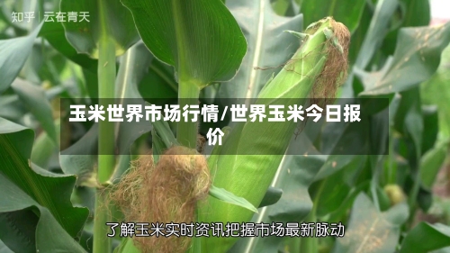 玉米世界市场行情/世界玉米今日报价