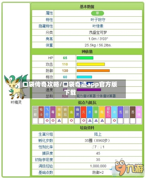 口袋传奇攻略/口袋奇迹app官方版下载