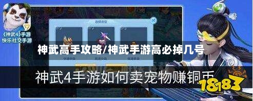 神武高手攻略/神武手游高必掉几号
