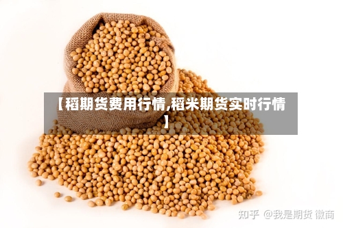 【稻期货费用行情,稻米期货实时行情】-第1张图片