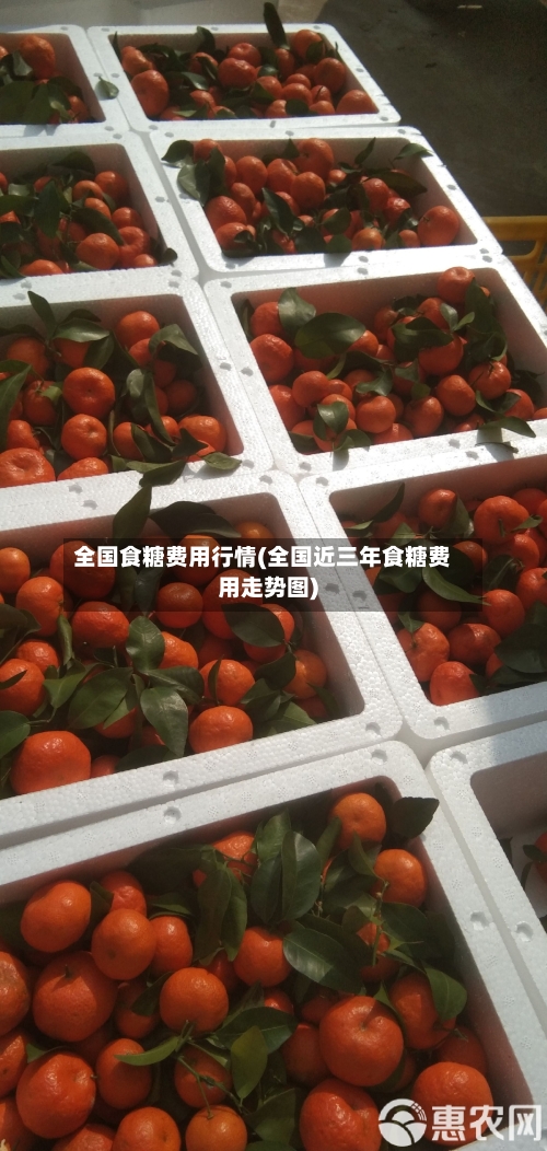 全国食糖费用行情(全国近三年食糖费用走势图)-第2张图片