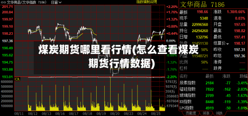 煤炭期货哪里看行情(怎么查看煤炭期货行情数据)-第2张图片