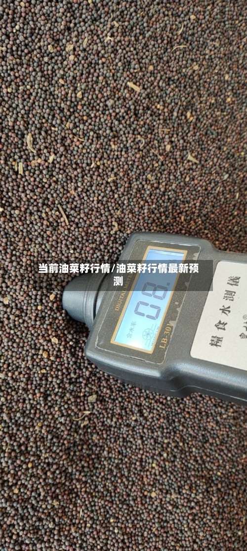 当前油菜籽行情/油菜籽行情最新预测