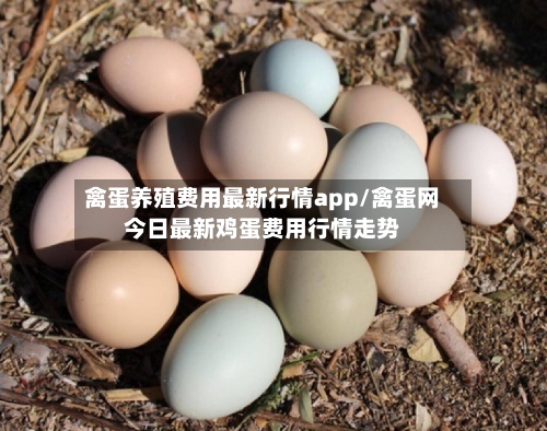 禽蛋养殖费用最新行情app/禽蛋网今日最新鸡蛋费用行情走势