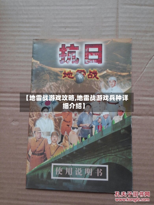 【地雷战游戏攻略,地雷战游戏兵种详细介绍】-第2张图片