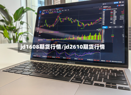 jd1608期货行情/jd2610期货行情