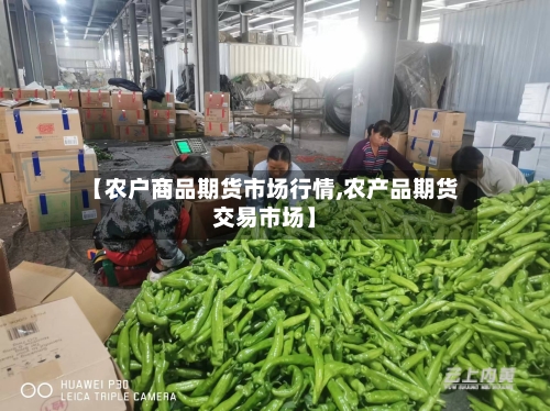 【农户商品期货市场行情,农产品期货交易市场】
