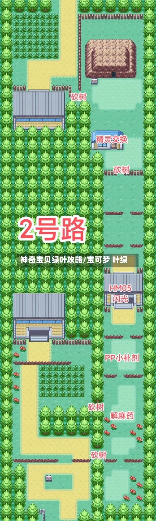 神奇宝贝绿叶攻略/宝可梦 叶绿-第2张图片