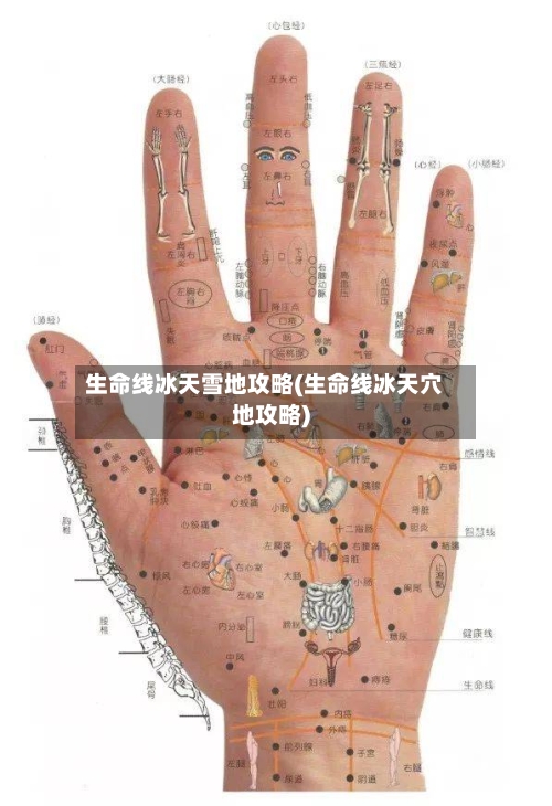 生命线冰天雪地攻略(生命线冰天穴地攻略)