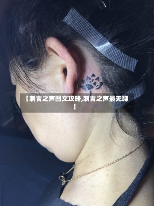 【刺青之声图文攻略,刺青之声最无聊】