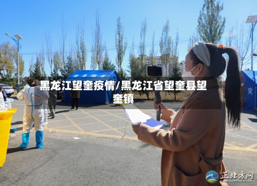 黑龙江望奎疫情/黑龙江省望奎县望奎镇-第2张图片