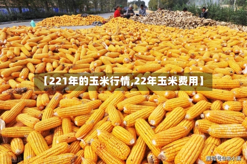 【221年的玉米行情,22年玉米费用】-第2张图片