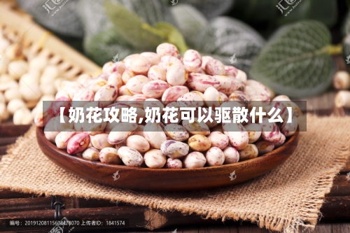 【奶花攻略,奶花可以驱散什么】-第3张图片