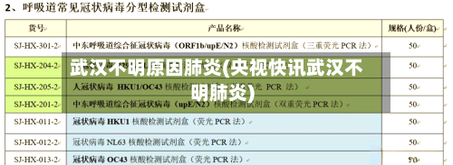武汉不明原因肺炎(央视快讯武汉不明肺炎)