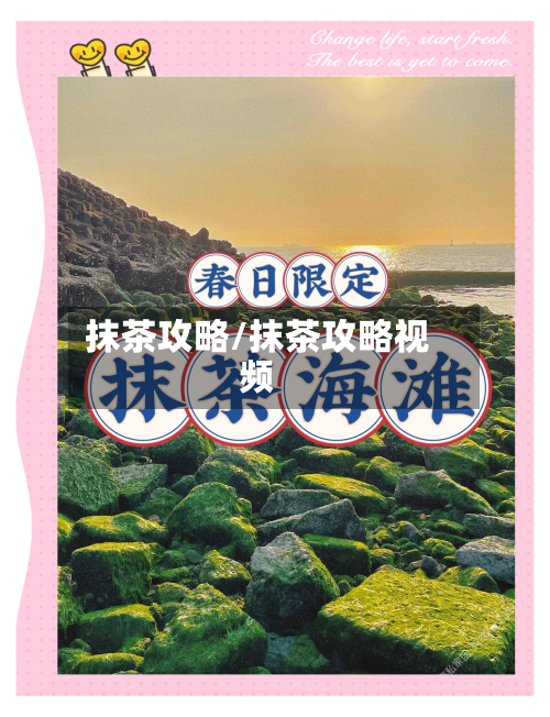 抹茶攻略/抹茶攻略视频-第2张图片