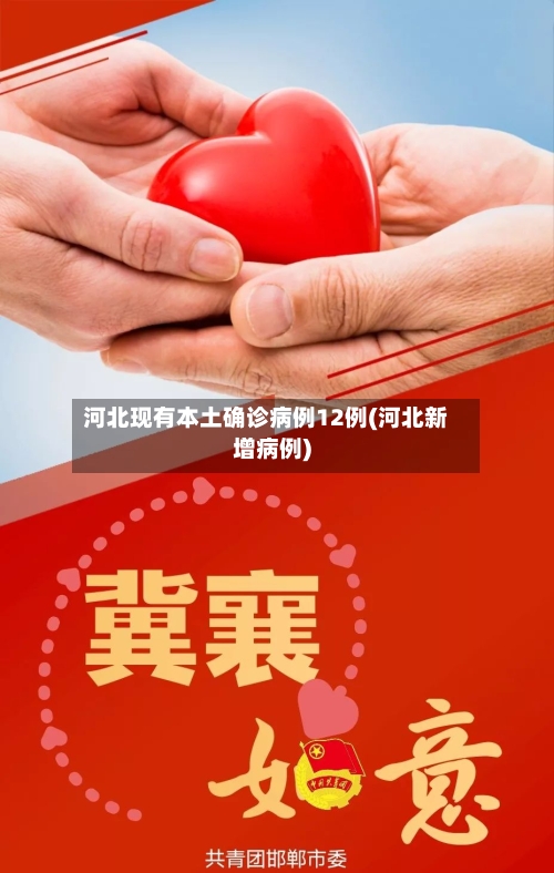 河北现有本土确诊病例12例(河北新增病例)-第2张图片