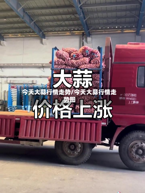 今天大蒜行情走势/今天大蒜行情走势图-第2张图片