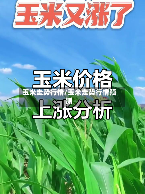 玉米走势行情/玉米走势行情预测