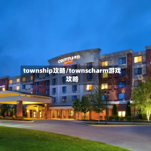 township攻略/townscharm游戏攻略-第3张图片