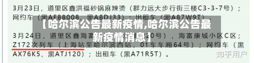 【哈尔滨公告最新疫情,哈尔滨公告最新疫情消息】-第2张图片
