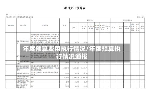 年度预算费用执行情况/年度预算执行情况通报