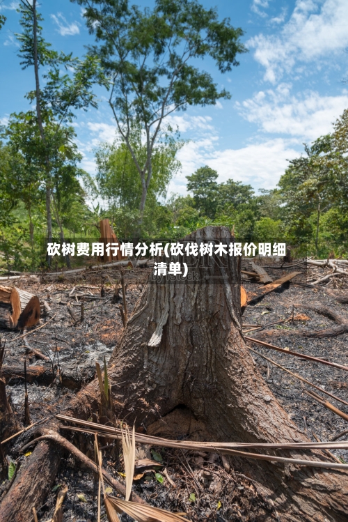 砍树费用行情分析(砍伐树木报价明细清单)