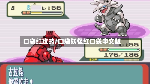 口袋红攻略/口袋妖怪红口袋中文版