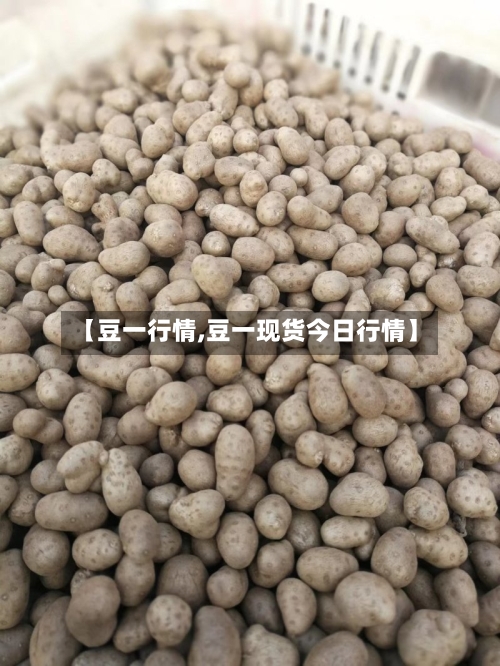 【豆一行情,豆一现货今日行情】-第2张图片