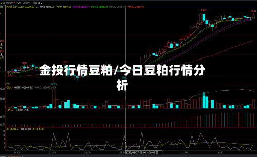金投行情豆粕/今日豆粕行情分析-第3张图片