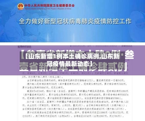 【山东新增1例本土确诊病例,山东新冠疫情最新动态】-第2张图片