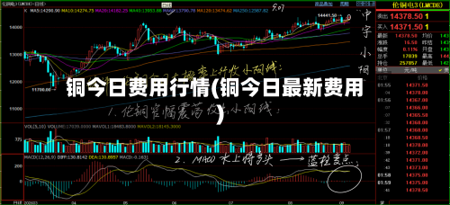铜今日费用行情(铜今日最新费用)