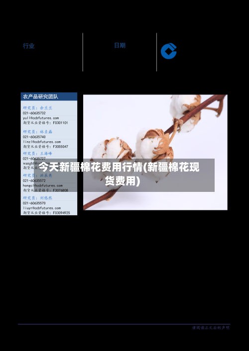 今天新疆棉花费用行情(新疆棉花现货费用)