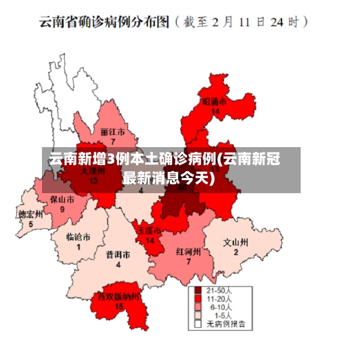 云南新增3例本土确诊病例(云南新冠最新消息今天)