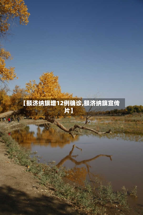 【额济纳旗增12例确诊,额济纳旗宣传片】-第2张图片