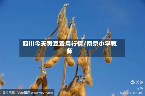 四川今天黄豆费用行情/南京小学教师-第2张图片