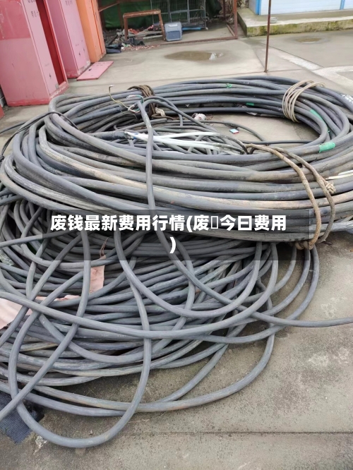 废钱最新费用行情(废鉄今曰费用)-第2张图片