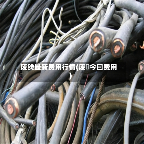 废钱最新费用行情(废鉄今曰费用)