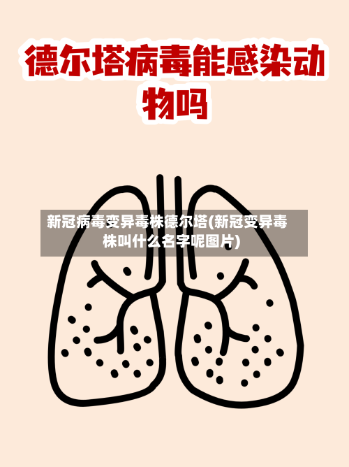 新冠病毒变异毒株德尔塔(新冠变异毒株叫什么名字呢图片)