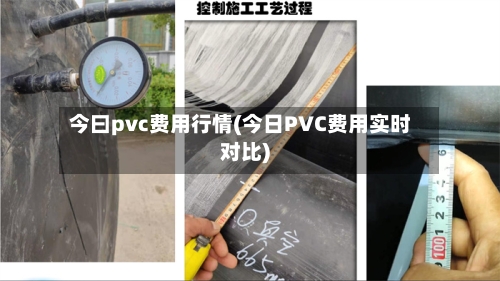 今曰pvc费用行情(今日PVC费用实时对比)