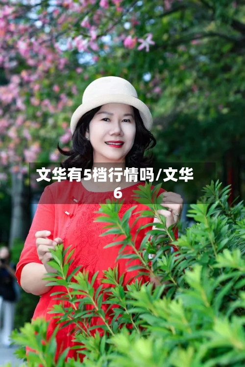 文华有5档行情吗/文华6-第2张图片