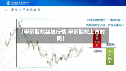 【甲醇期权买权行情,甲醇期权上市时间】