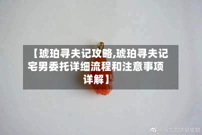 【琥珀寻夫记攻略,琥珀寻夫记宅男委托详细流程和注意事项详解】