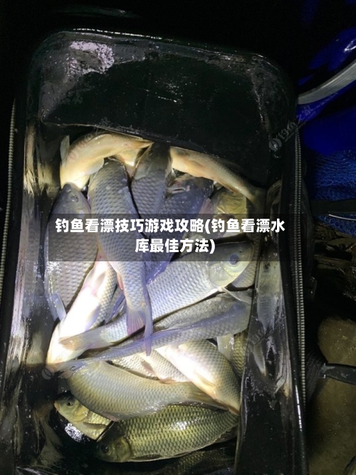 钓鱼看漂技巧游戏攻略(钓鱼看漂水库最佳方法)-第3张图片